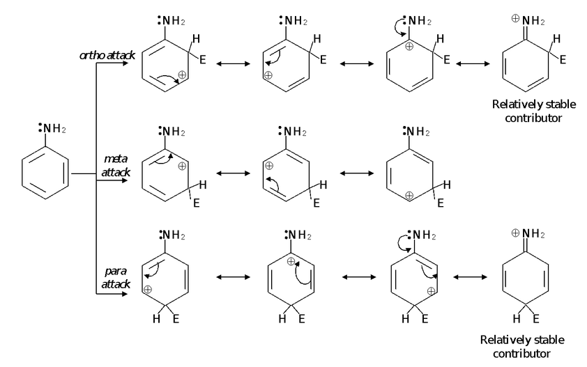 OrthoParaDirecting Groups Class 12 PW